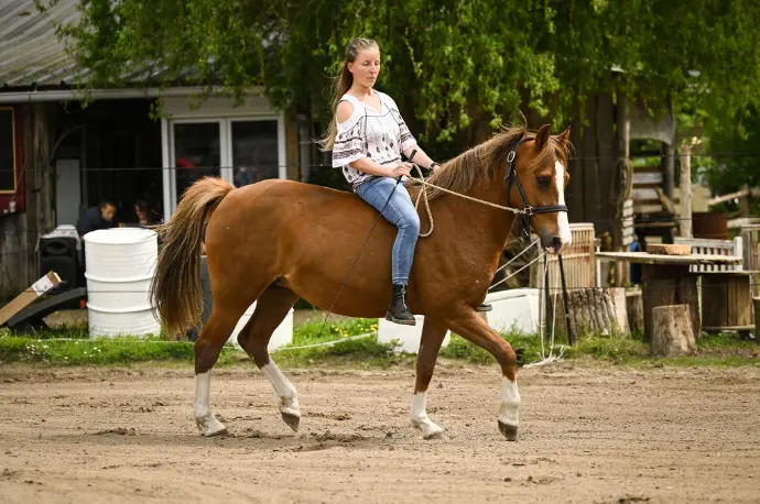 Sarhanne la co-gérante à cheval en spectacle