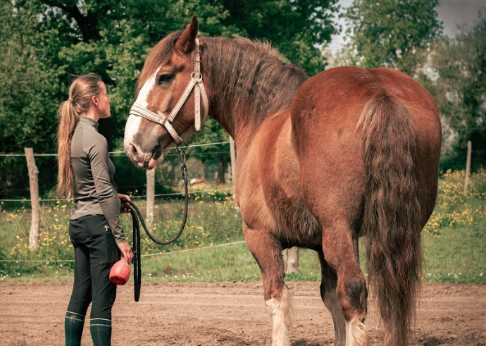 Sarhanne co-gérante à pied avec un cheval